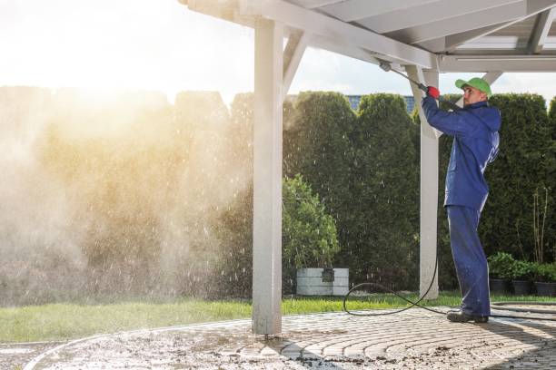 Best Gutter Cleaning  in Paisley, FL
